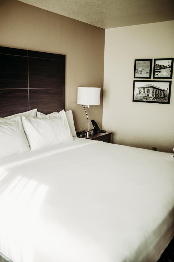 Cobblestone Hotel & Suites International Falls Exterior foto
